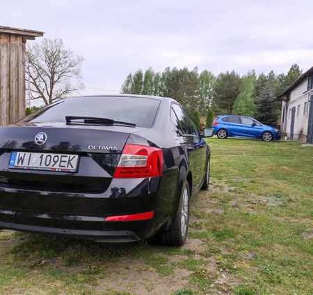 Skoda Octavia cena 59700 przebieg: 64000, rok produkcji 2015 z Myszyniec małe 254